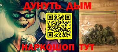 МДПВ Новодвинск