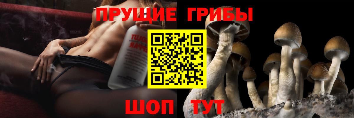 Галлюциногенные грибы Psilocybe  Вход с VPN  Усть-Джегута  Галлюциногенные грибы Magic Shrooms 